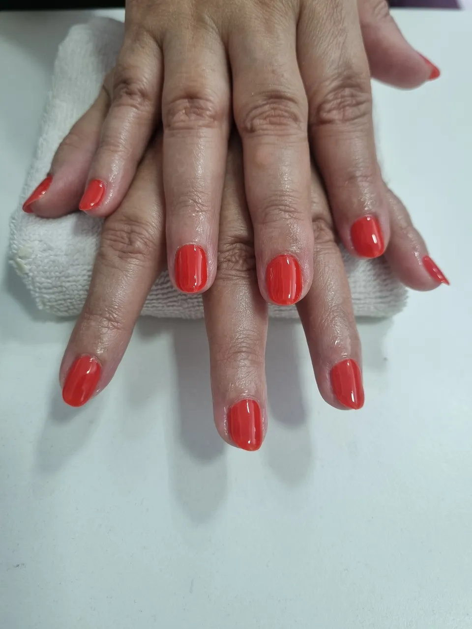 Trabajo de Olga torres  