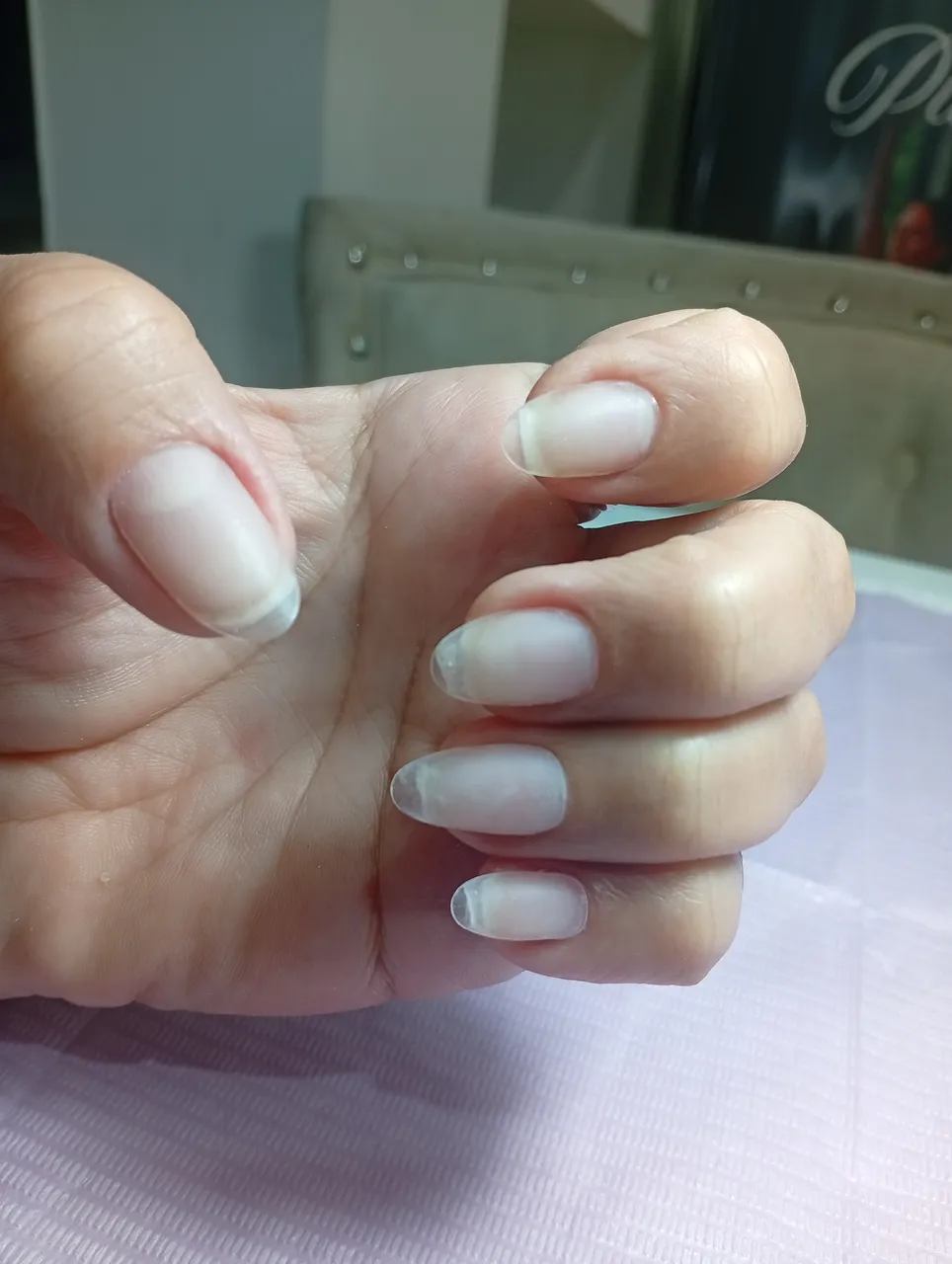 Trabajo de Elisabeth Rabie