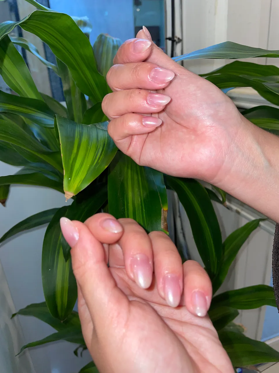 Trabajo de Jessica Nails