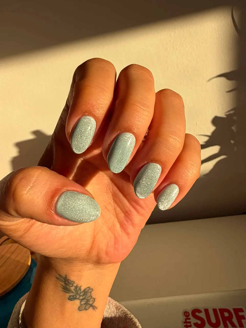 Manicuria semi